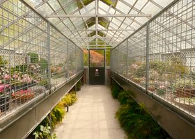 The Glasshouse
